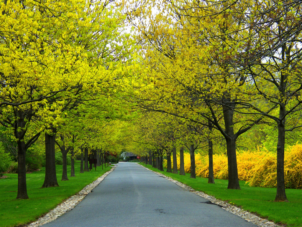 Spring